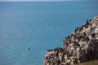 《星露谷物语》作者更新《恐怖巧克力工厂》开发近况：还需要更多时间