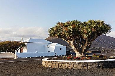 「DEAD OR ALIVE Xtreme」系列首次推出正統戀愛冒險遊戲 決定於2025年初發售！